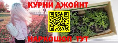 крисы Волгодонск