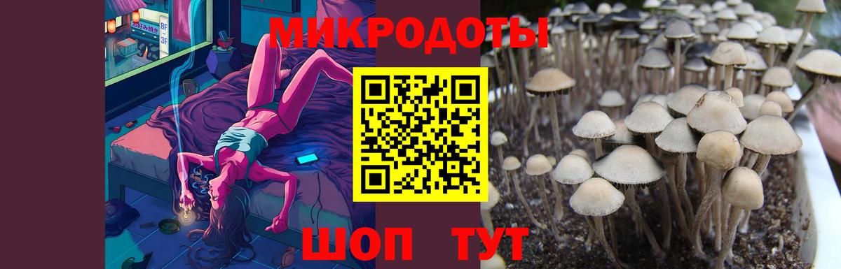 Псилоцибиновые грибы MAGIC MUSHROOMS Дятьково