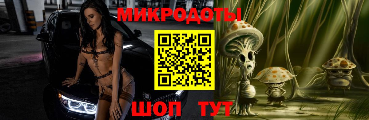Дятьково  закладка  Вход с VPN  Псилоцибиновые грибы Psilocybe 