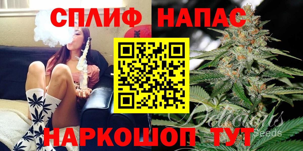 Конопля сатива Дятьково